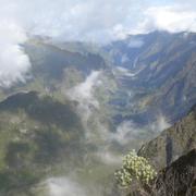 La Plaine des Palmistes 12/04/2011