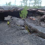 Saint-Philippe 17/04/2011