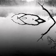 Verrières 03/05/2011