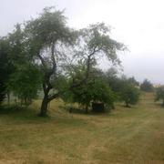 Laferté-sur-Aube 31/05/2011