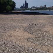 Düsseldorf 11/06/2011