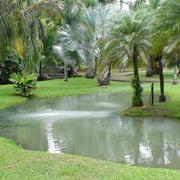 Le François 28/06/2011