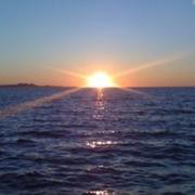 Split 01/07/2011