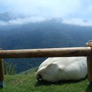 Sainte-Engrâce 13/07/2011