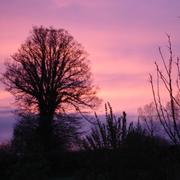 La Lande-d'Airou 29/07/2011