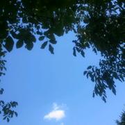 Saint-Jeannet 02/08/2011