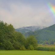 Fribourg-en-Brisgau 14/08/2011