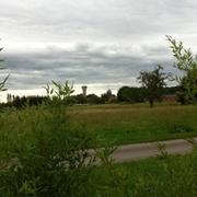 Joncreuil 14/08/2011