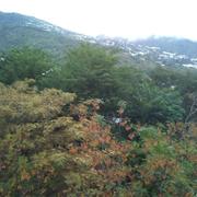 Saint-Denis 15/08/2011