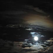 Saint-Céneré 16/08/2011