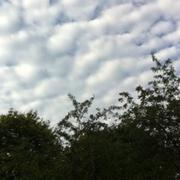 Joncreuil 16/08/2011