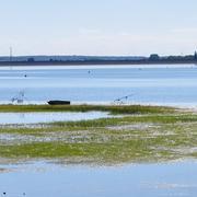 Mesnil-Saint-Père 18/08/2011