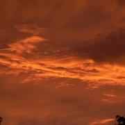 Saint-Martin-d'Ary 26/06/2009