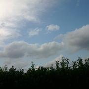 Viville - Bellevigne 01/09/2011