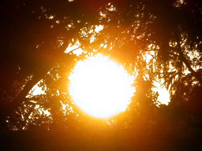 Soleil Et Chaleur Bon Pour La Sante Actualites La Chaine Meteo