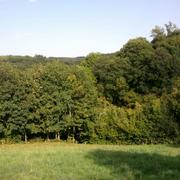 Roche-d'Agoux 13/09/2011