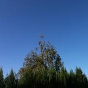 Poulaines 03/10/2011