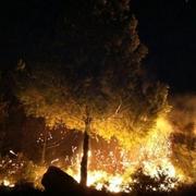 Azillanet 10/10/2011