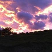 Aussurucq 29/10/2011