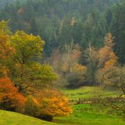 Pressy-sous-Dondin 09/11/2011