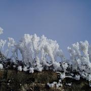 Beaufort 19/11/2011