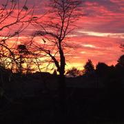 Labastide-Villefranche 01/12/2011