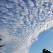 Schœlcher 09/12/2011