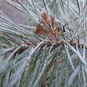 La Motte-du-Caire 17/01/2012