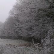 Combeaufontaine 19/01/2012