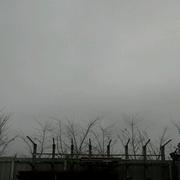 Pithiviers 31/01/2012