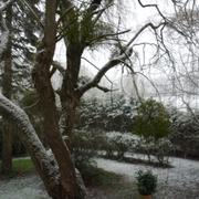 Mazerolles 31/01/2012