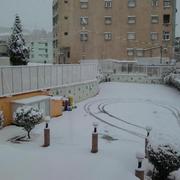 Sétif 31/01/2012
