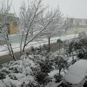 Sétif 31/01/2012