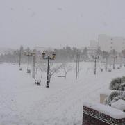 Sétif 31/01/2012