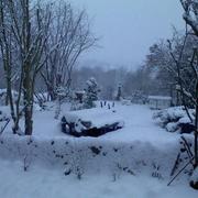 Bertholène 31/01/2012