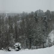 Bertholène 31/01/2012