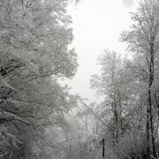 Parigné-le-Pôlin 01/02/2012