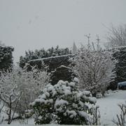 Mouterre-Silly 02/02/2012