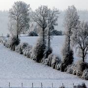 Mont-Saint-Jean 02/02/2012