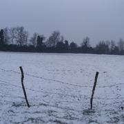 Pont-de-l'Arn 03/02/2012