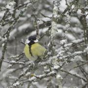 Lahitère 04/02/2012