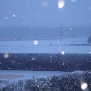 Champigny-sur-Veude 05/02/2012