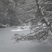 Cloyes-sur-le-Loir 06/02/2012