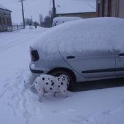 Ruan-sur-Egvonne 07/02/2012