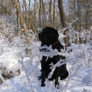 Saint-Sernin-sur-Rance 09/02/2012