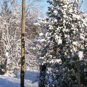 Saint-Quentin-sur-Charente 13/02/2012