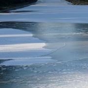 Chambilly 15/02/2012