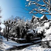 Delémont 19/02/2012