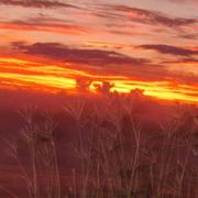 Saint-Leu 28/02/2012