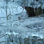 Crézancy-en-Sancerre 03/03/2012